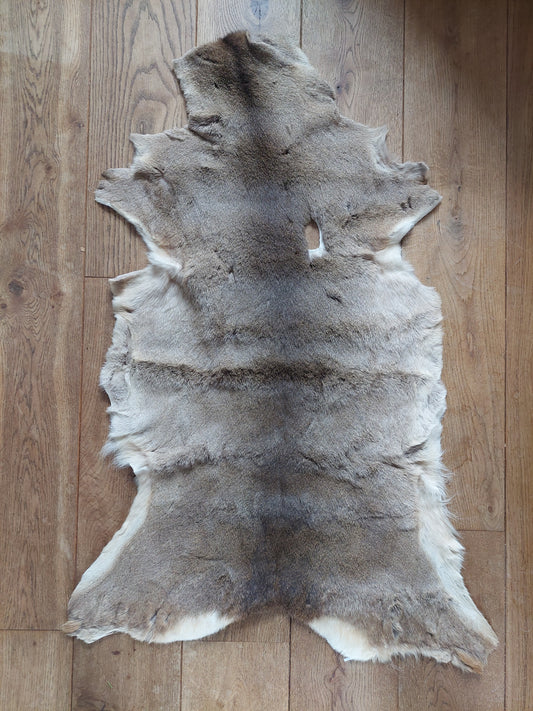 Roe deer winter hide, B-quality