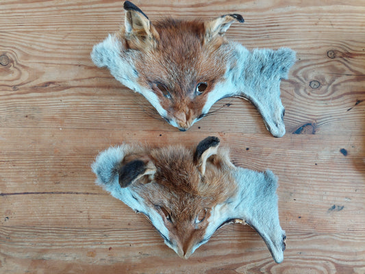 Fox head skins