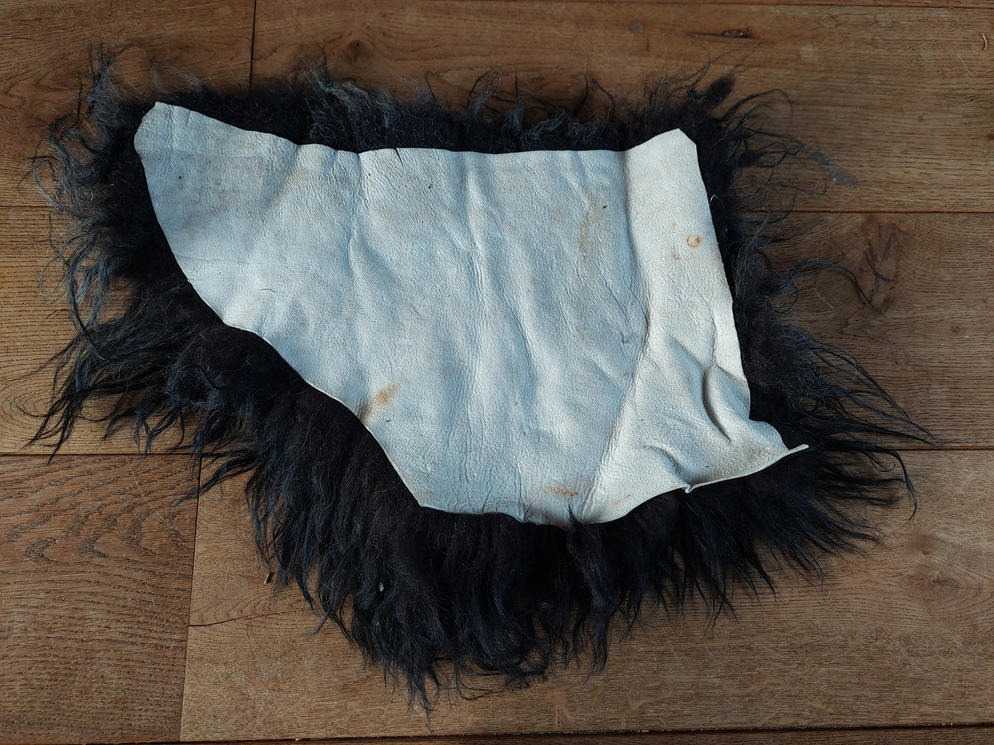 Sheep hide piece #1