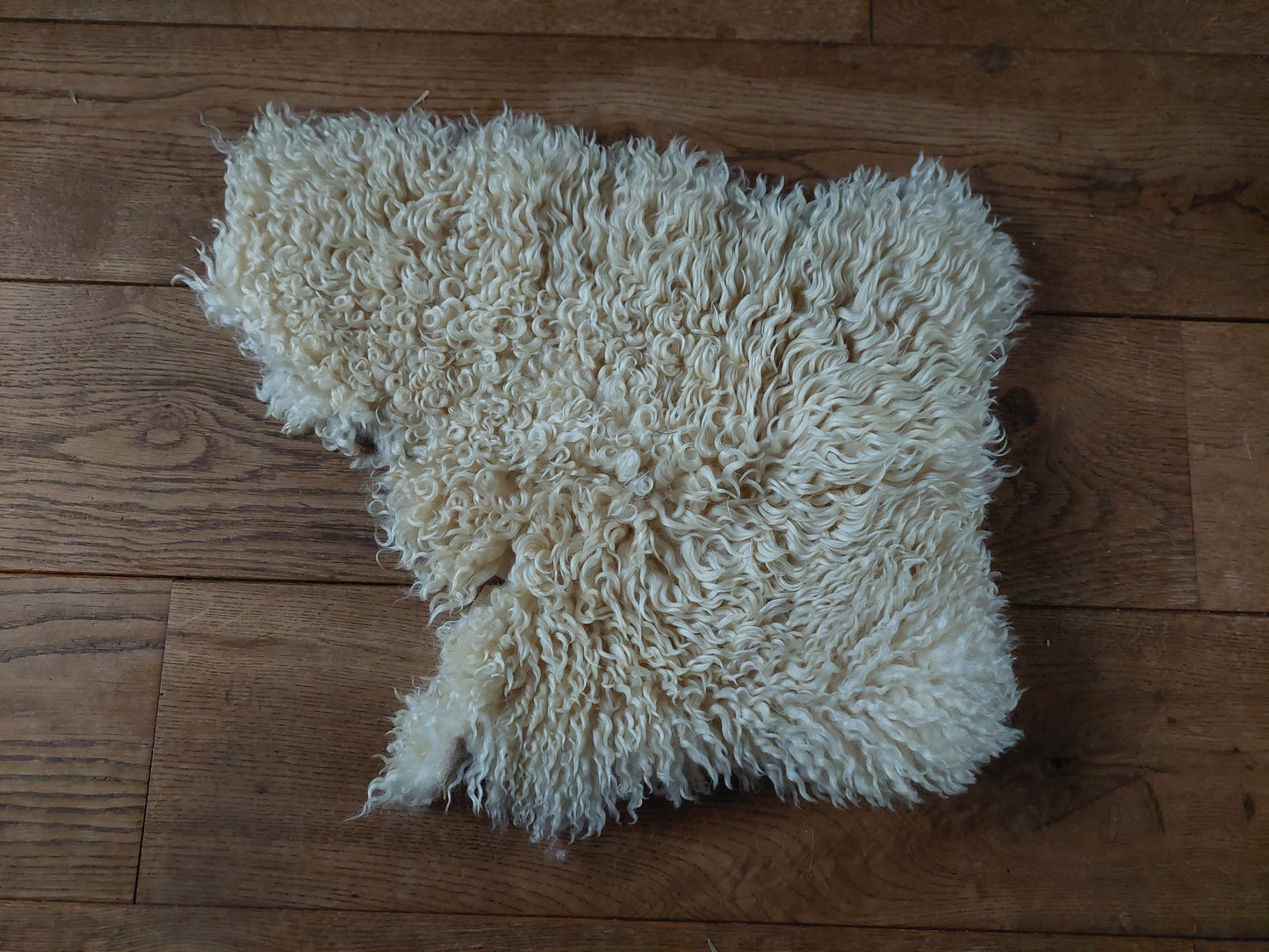 Sheep hide piece #3
