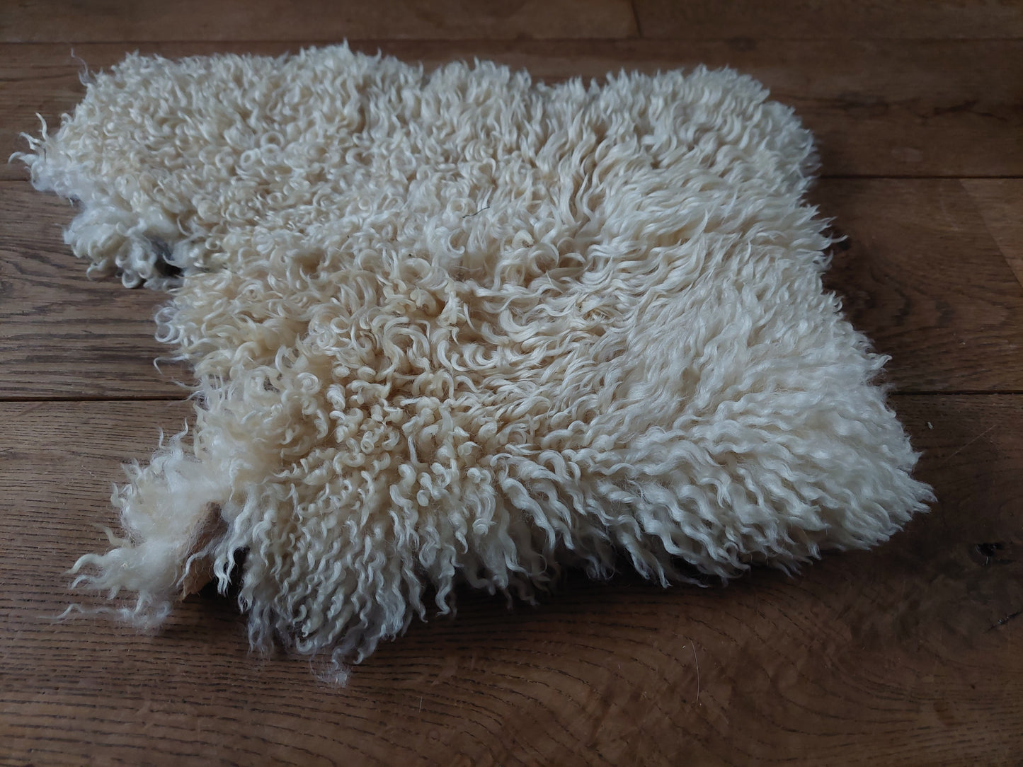 Sheep hide piece #3