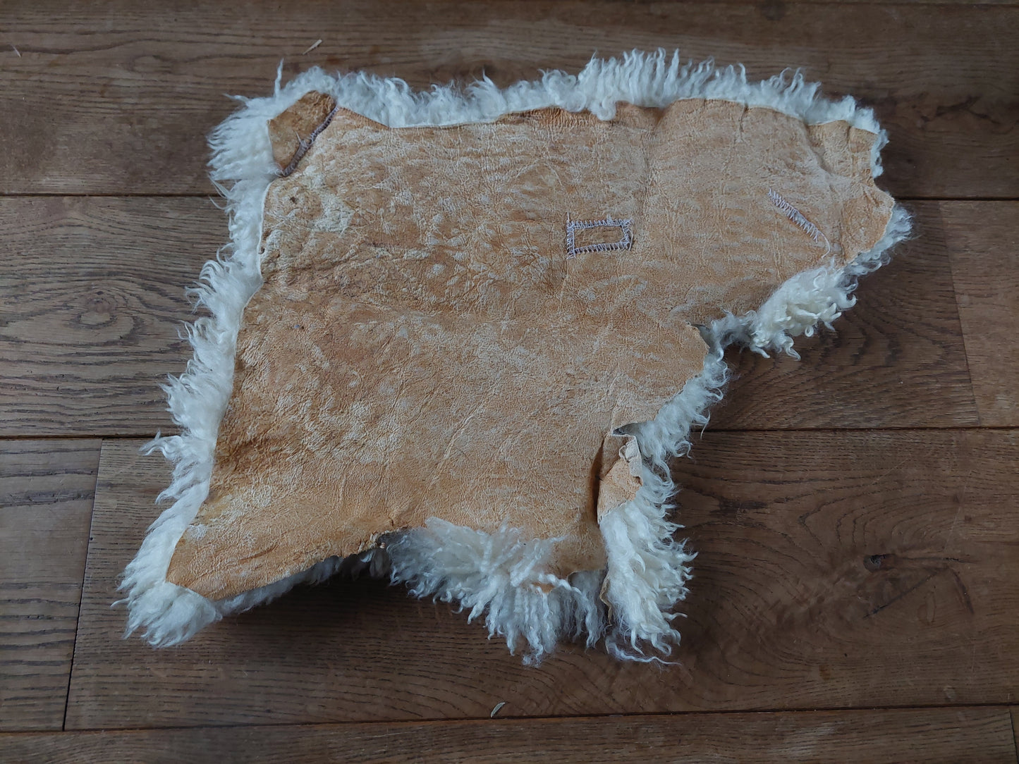 Sheep hide piece #3