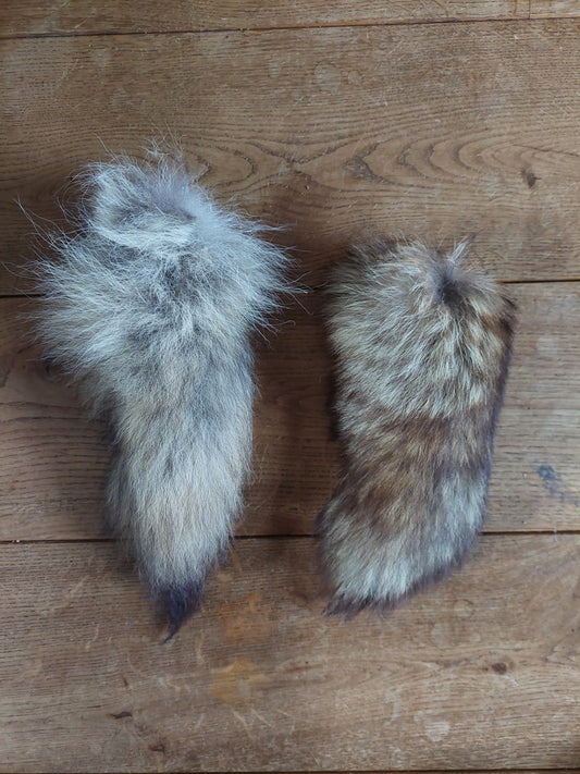 Red fox tails