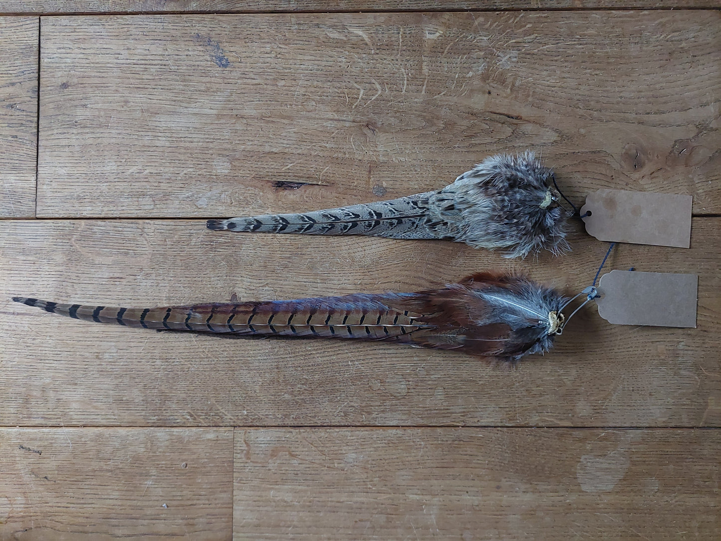 Pheasant tails