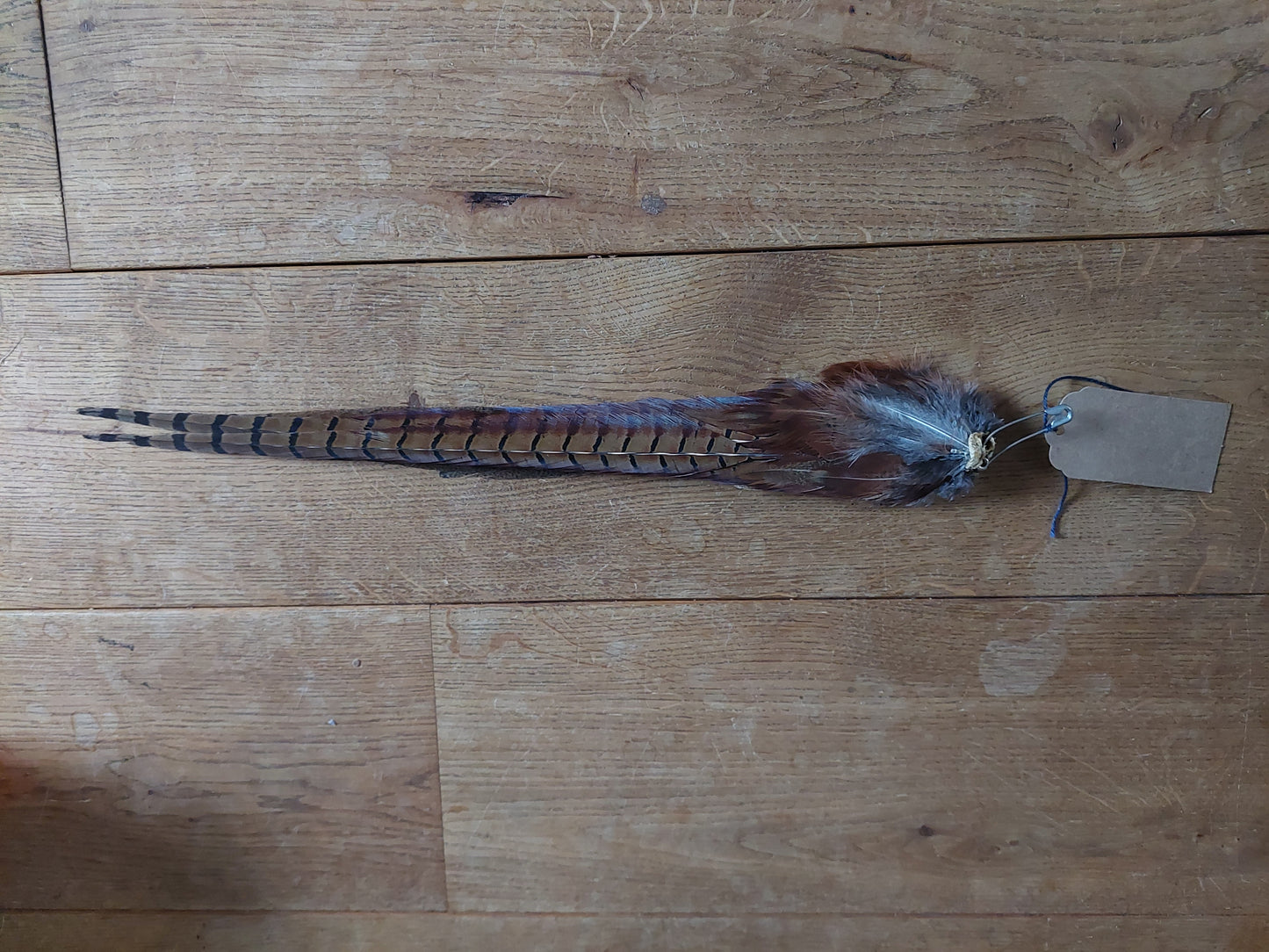 Pheasant tails