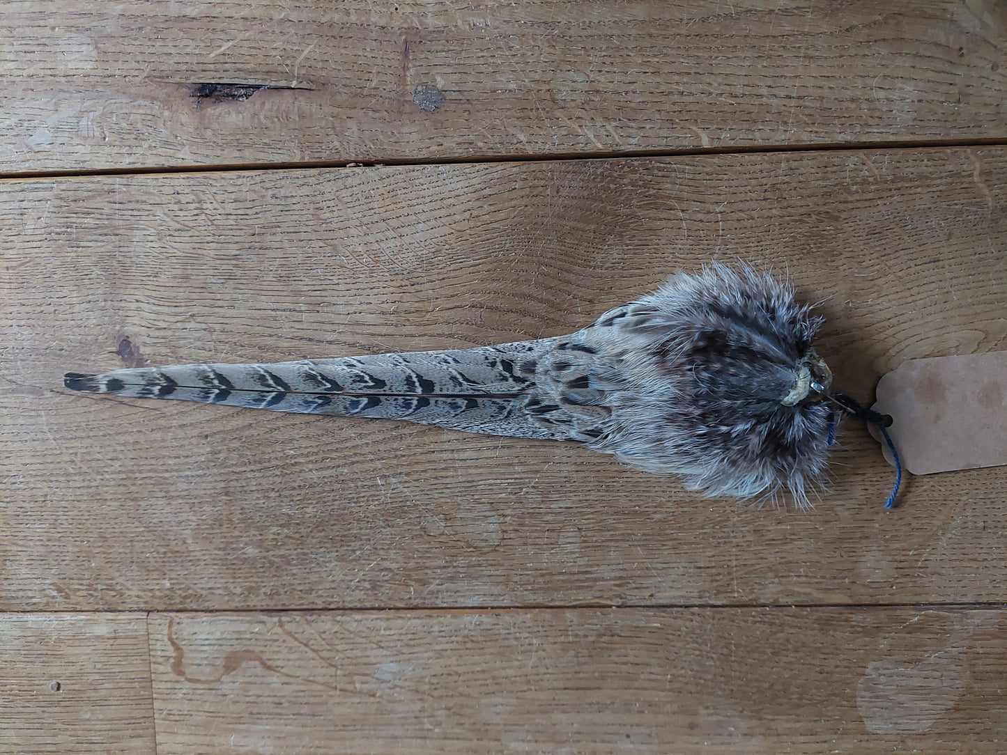 Pheasant tails