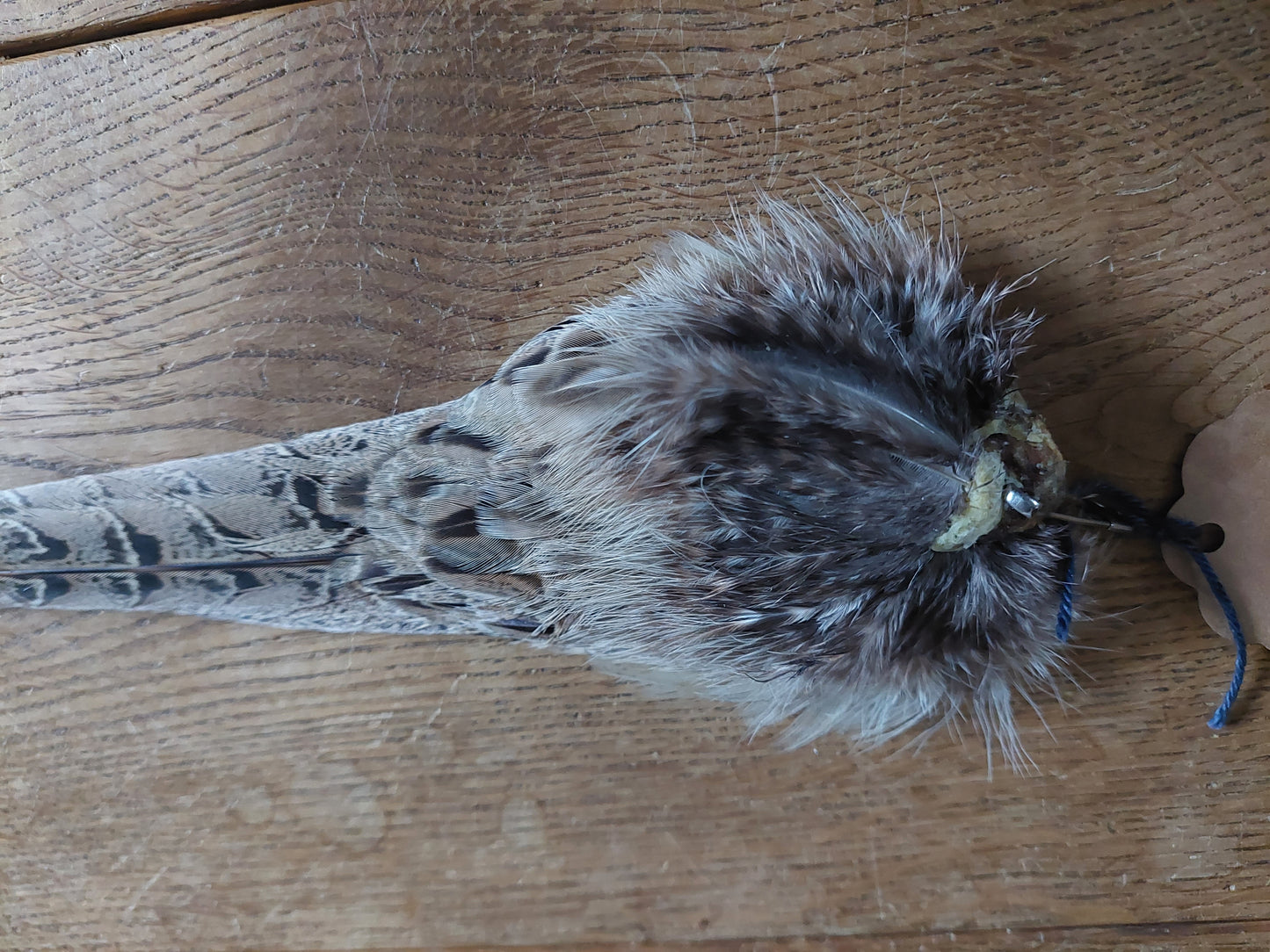 Pheasant tails