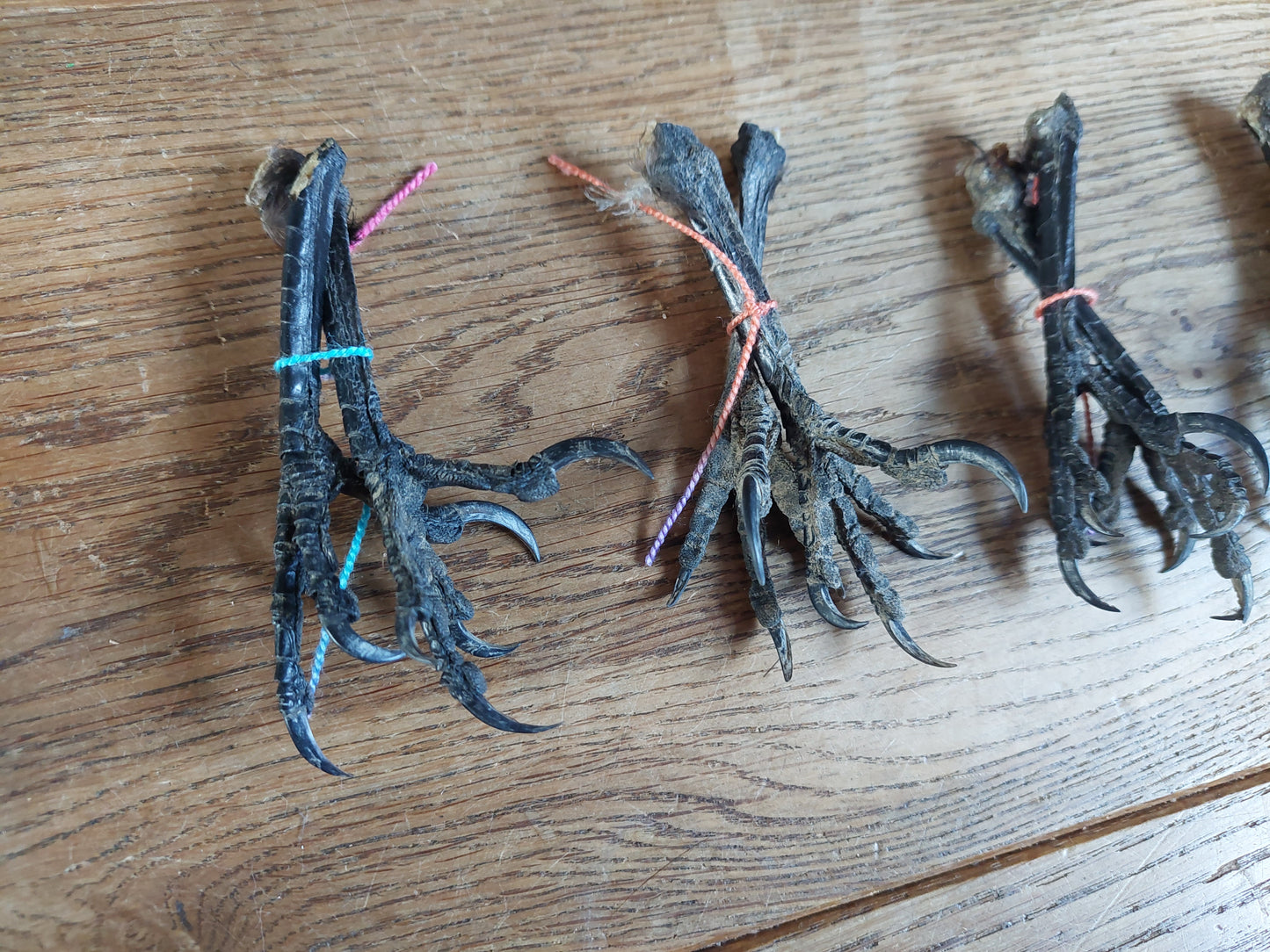 Crow claws pair, claw-shape, B-quality