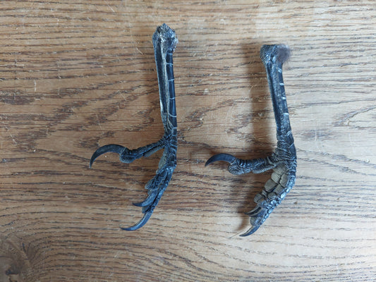 Crow claws single, claw-shape