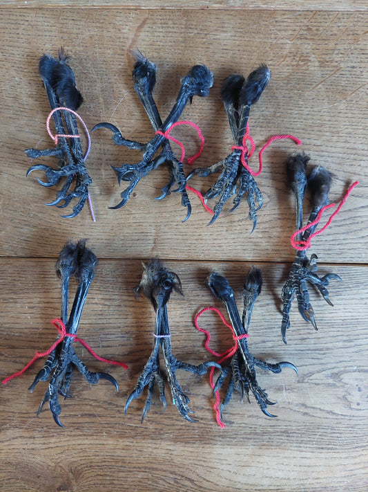 Crow claws pair, claw-shape