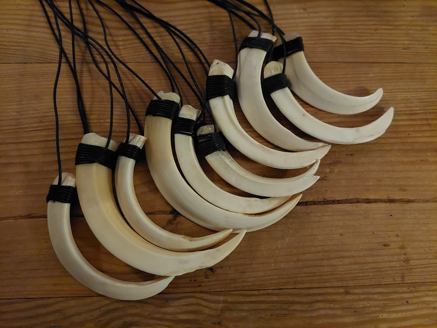 Wild boar tusk amulet necklace