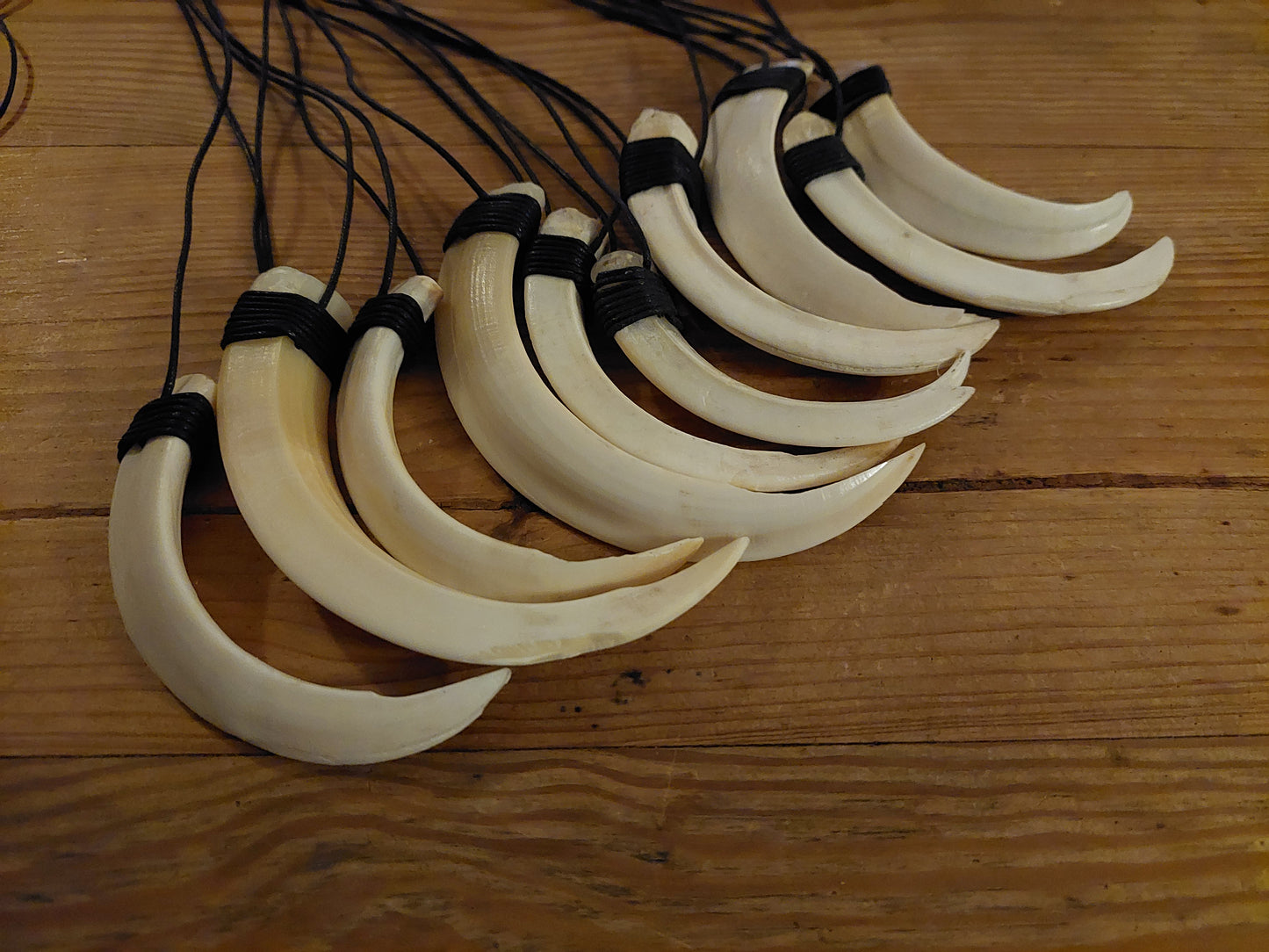 Wild boar tusk amulet necklace