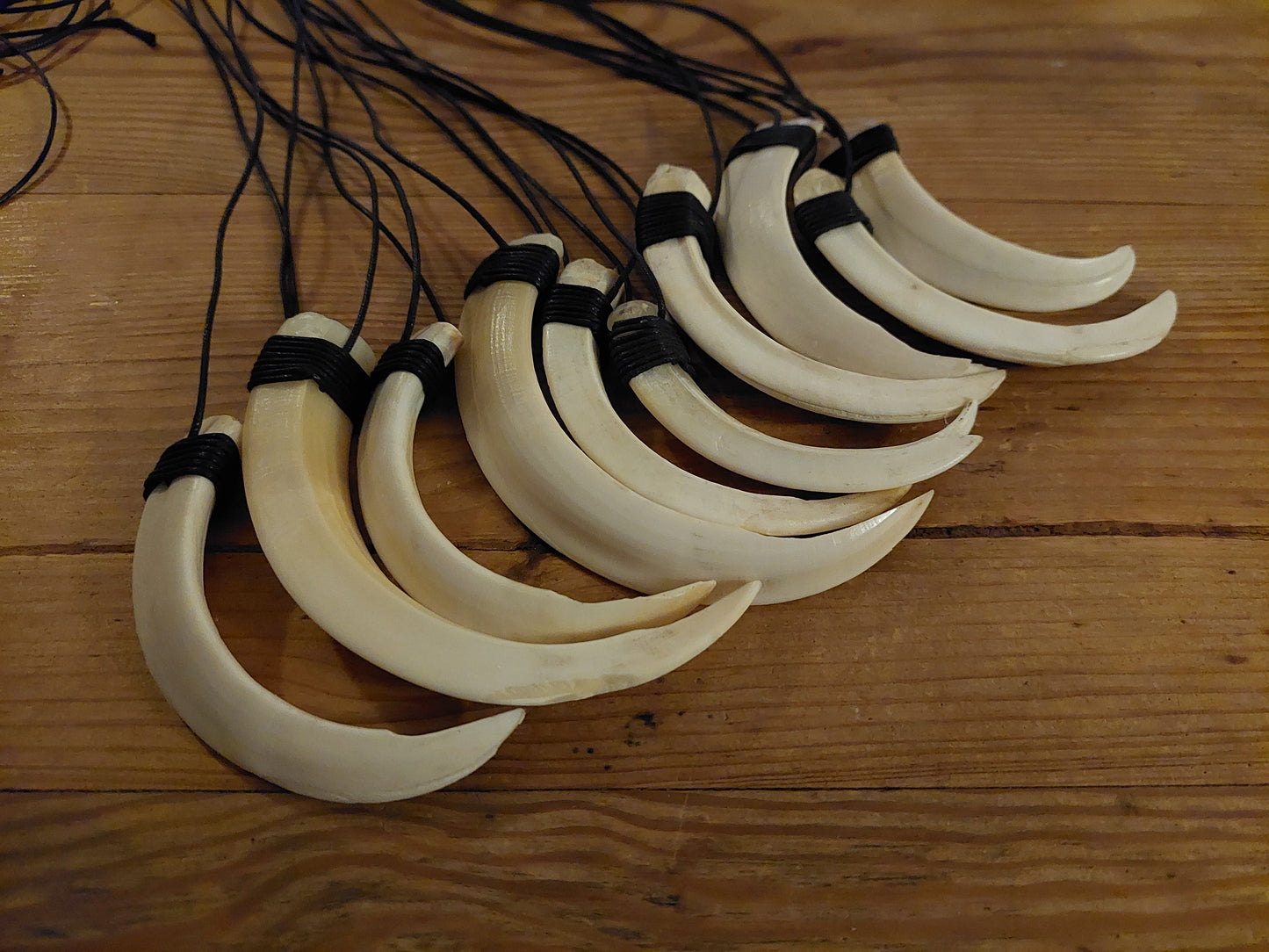 Wild boar tusk amulet necklace