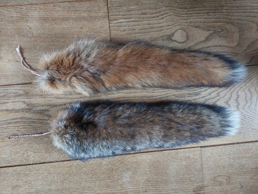 Red fox tails