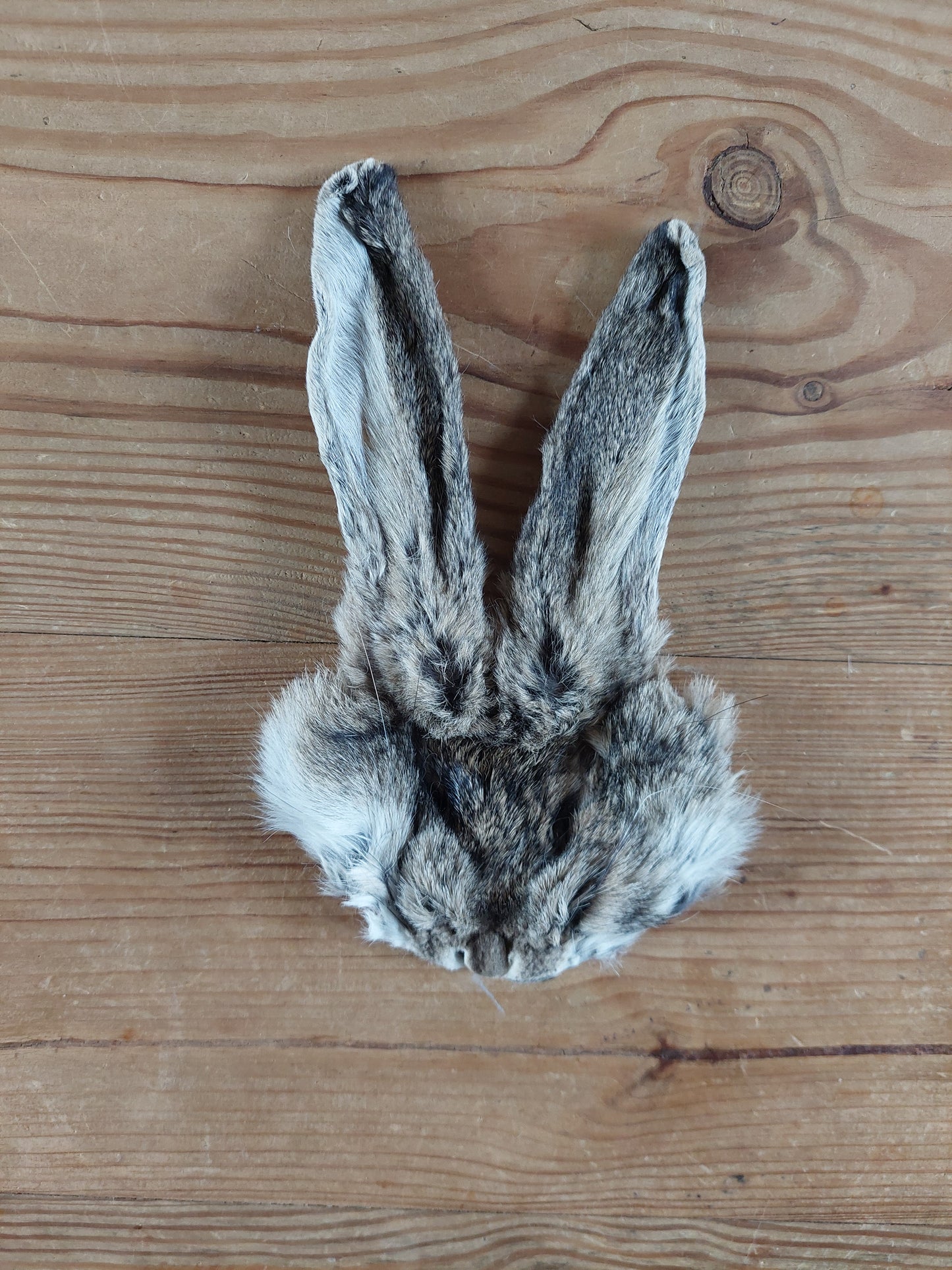 Hare head skins
