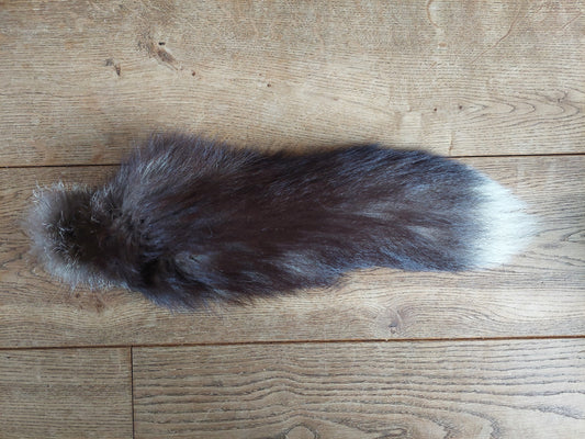 Silverfox tail