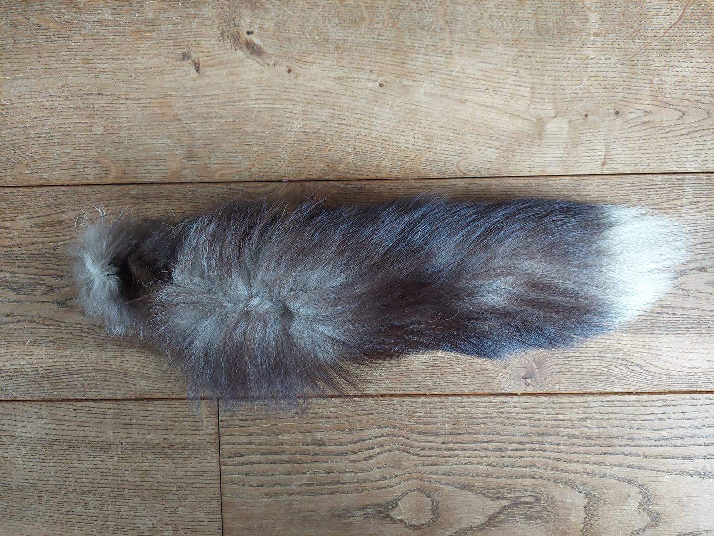 Silverfox tail