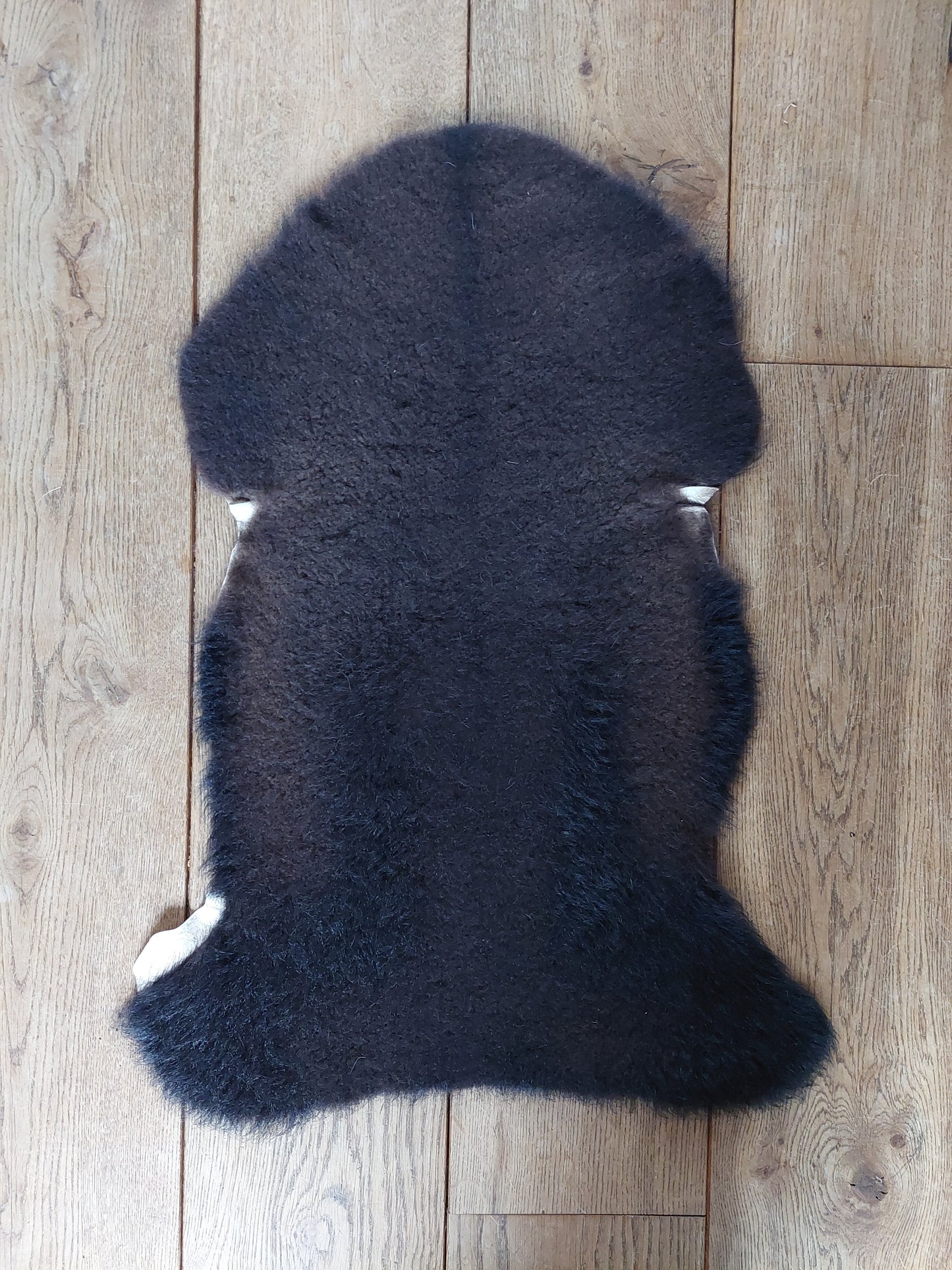 Black Texel lamb hide