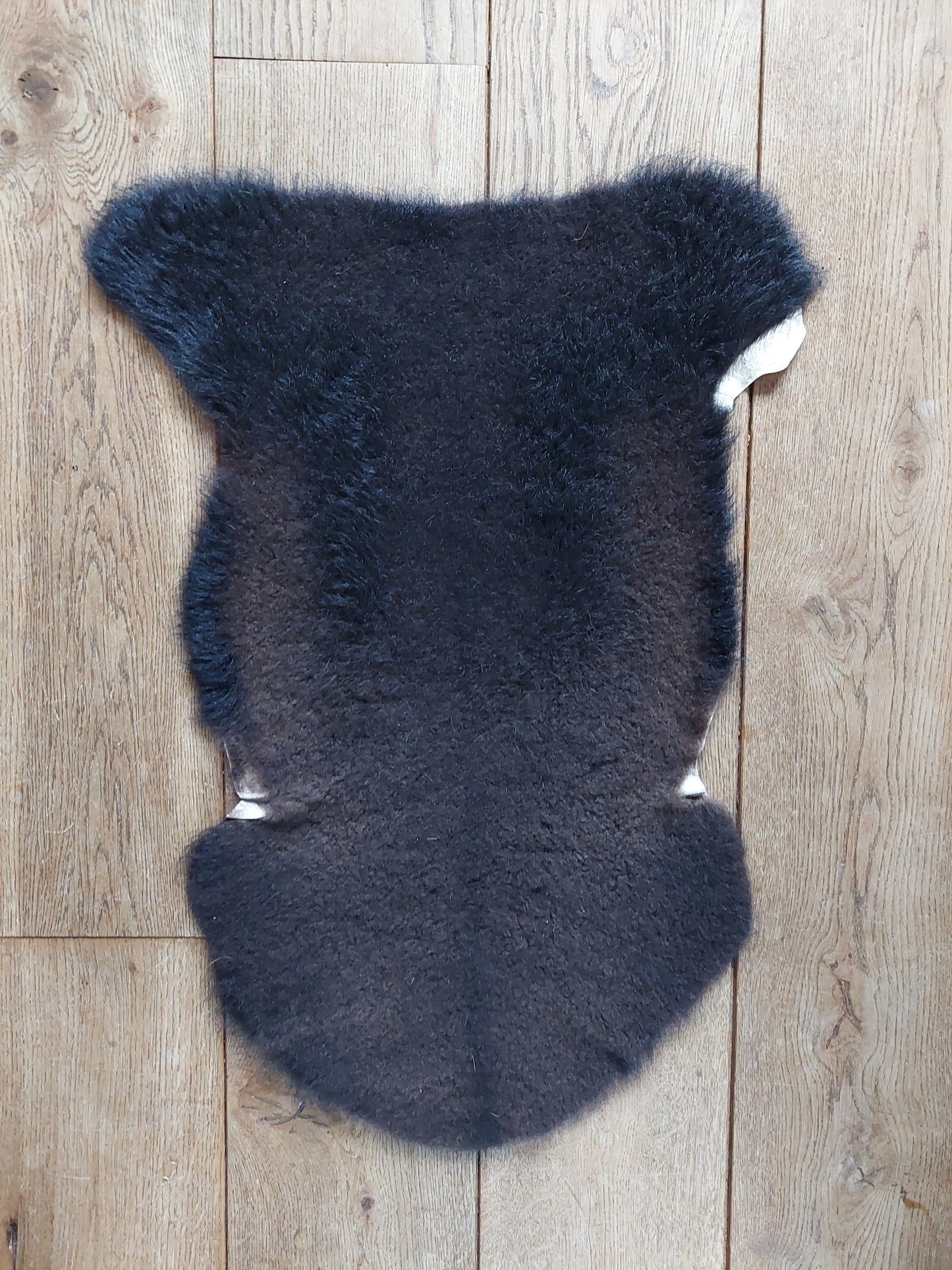 Black Texel lamb hide