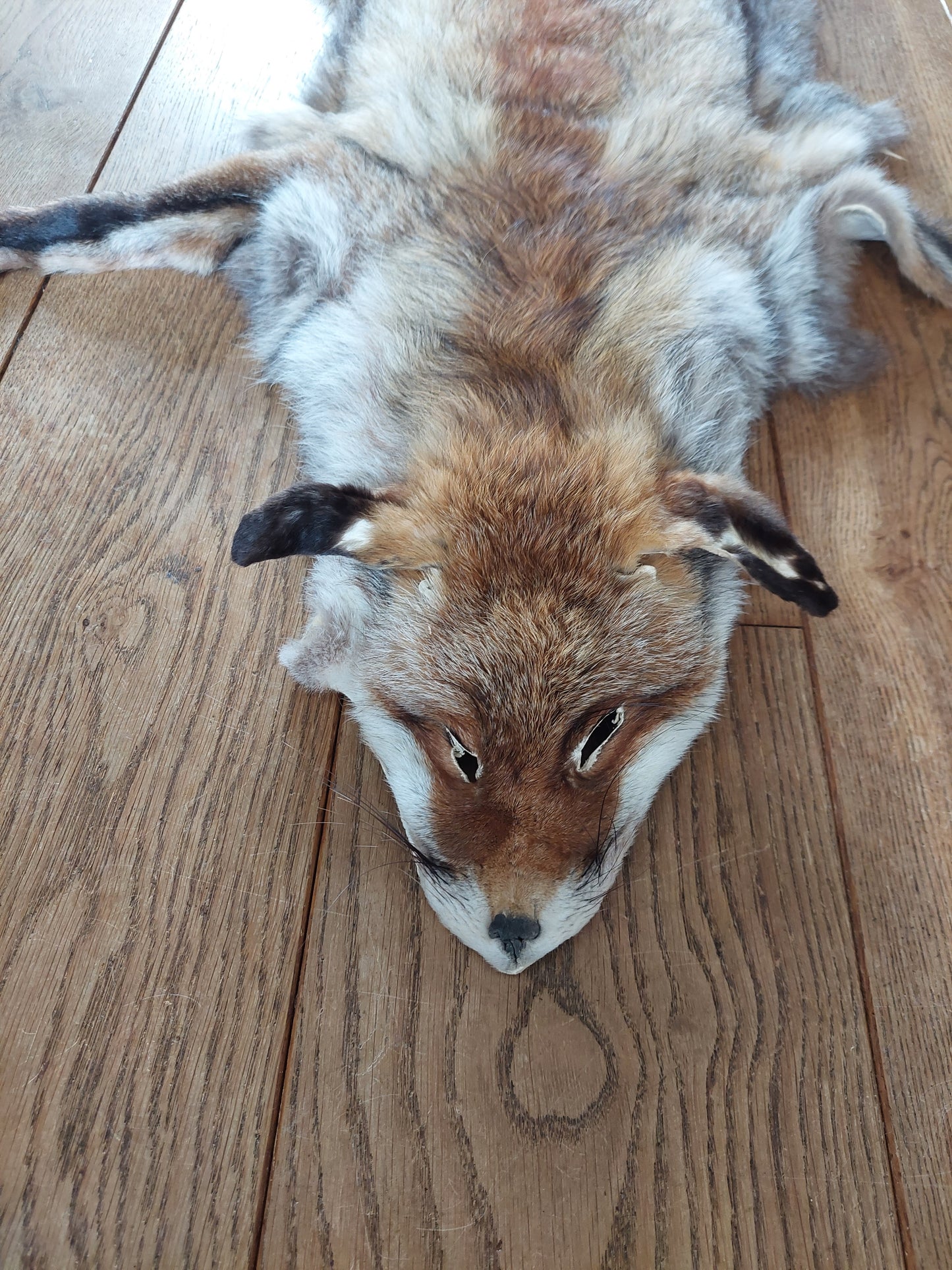 Red fox hide #5