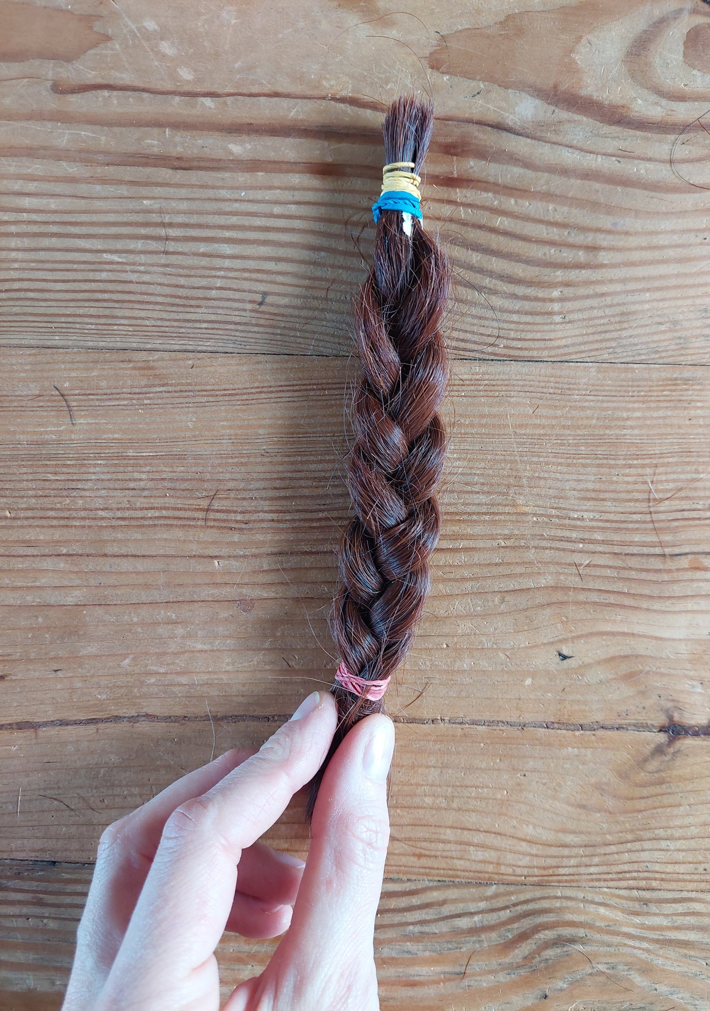 Horse mane hair braids