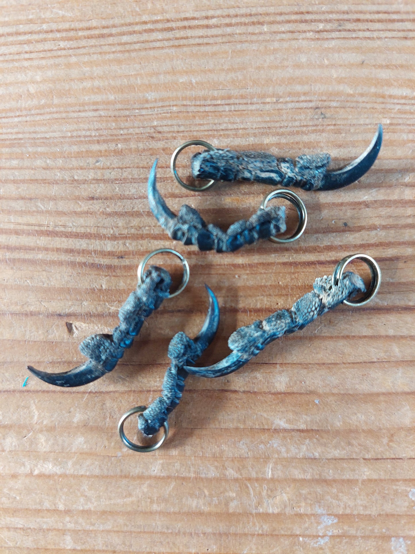 Crow nail pendant #2