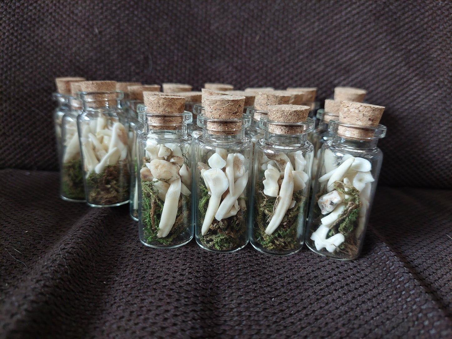 Animal teeth mix bottle #1