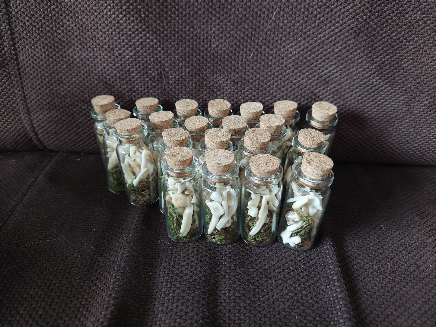 Animal teeth mix bottle #1