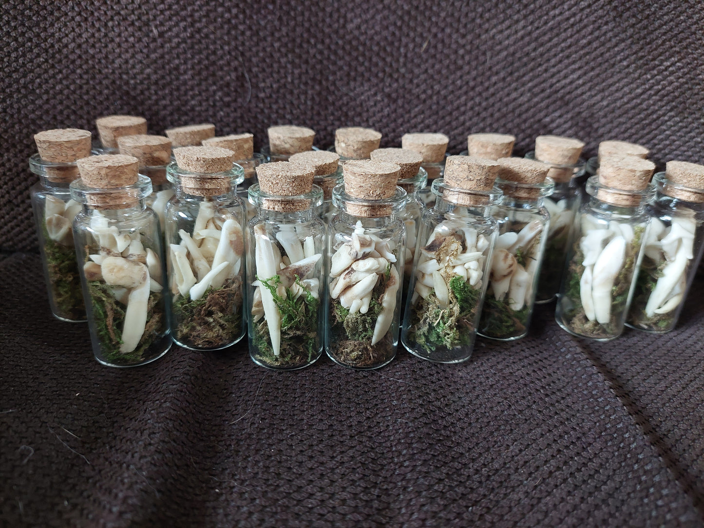 Animal teeth mix bottle