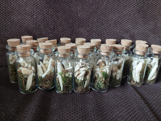 Animal teeth mix bottle #1