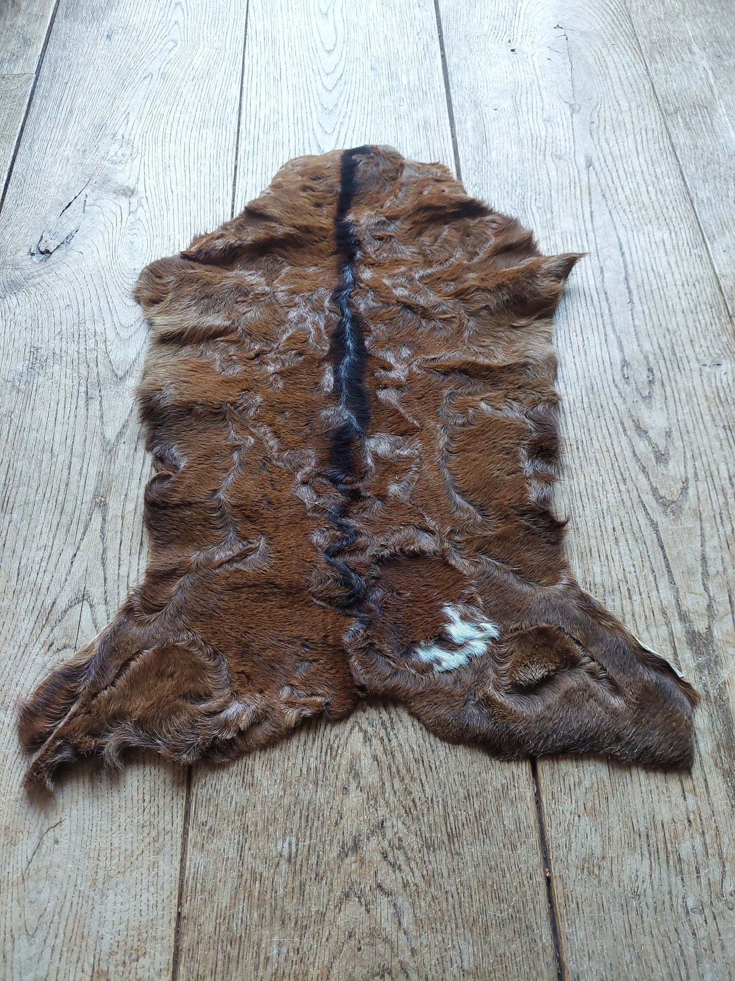 Baby goat hide