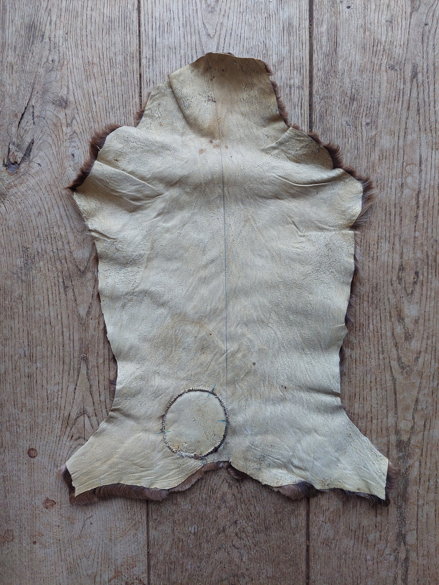 Baby goat hide