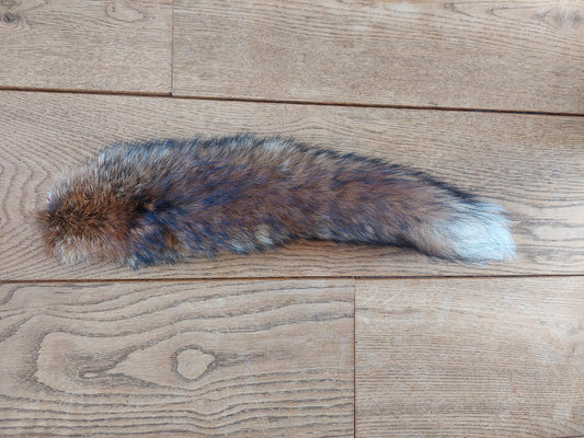 Red fox tail