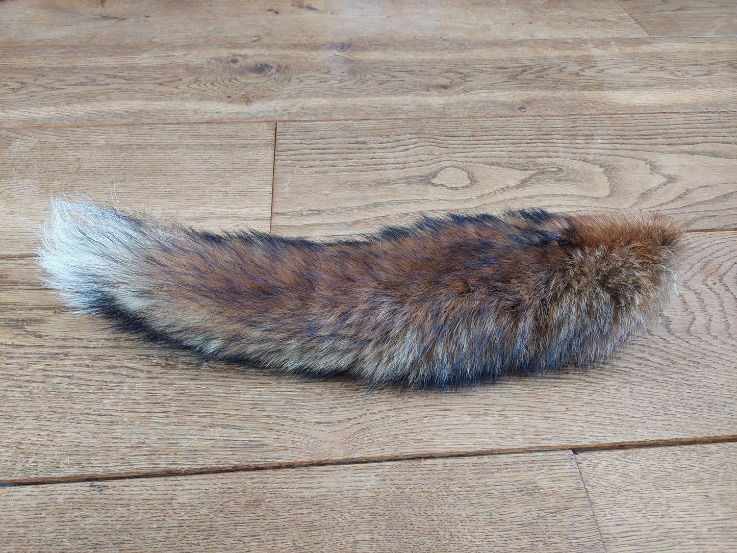 Red fox tail