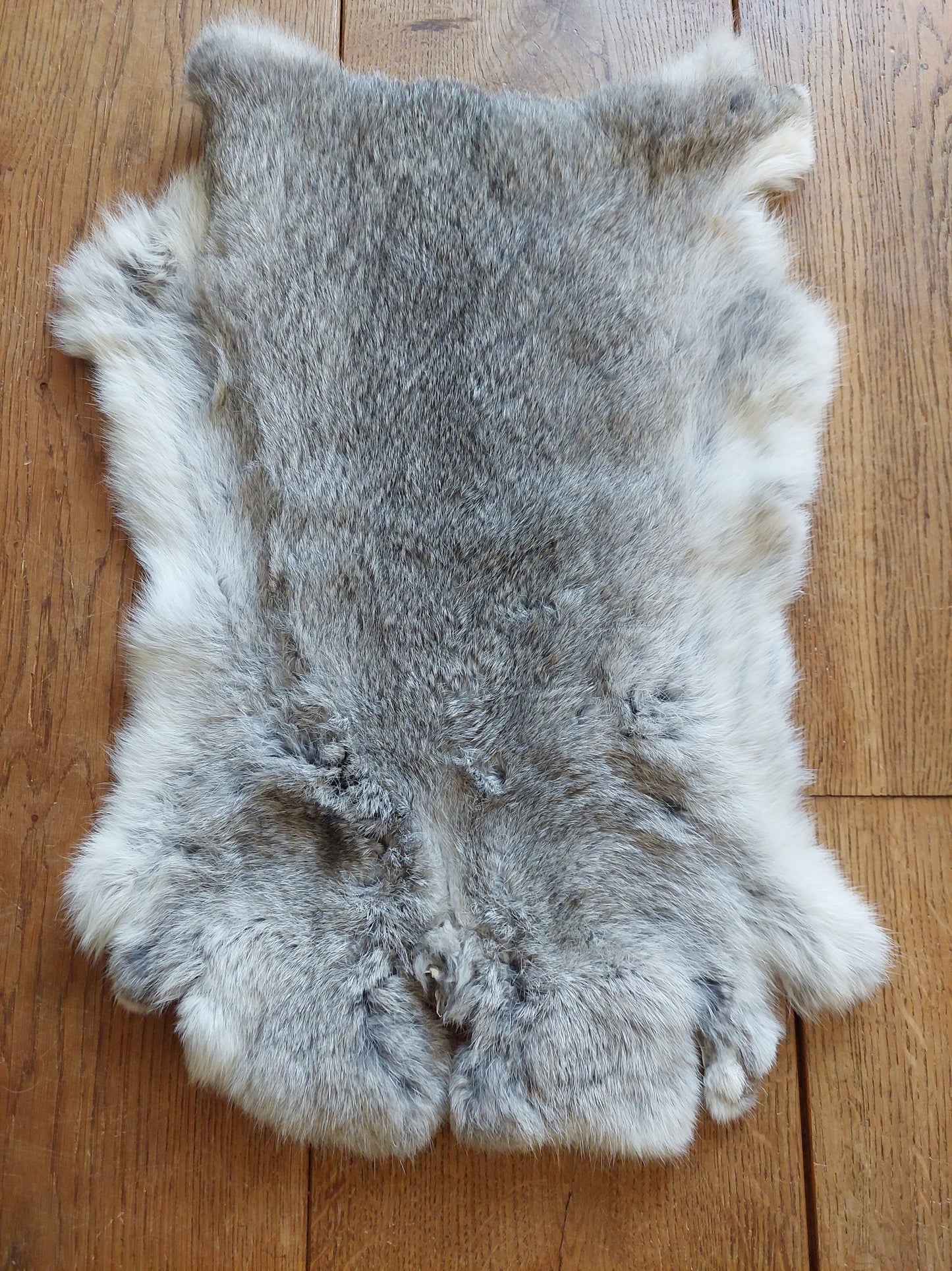 Rabbit hide #3