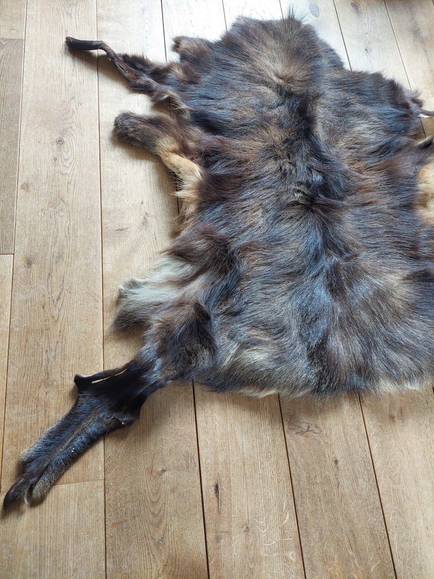 Chamois hide