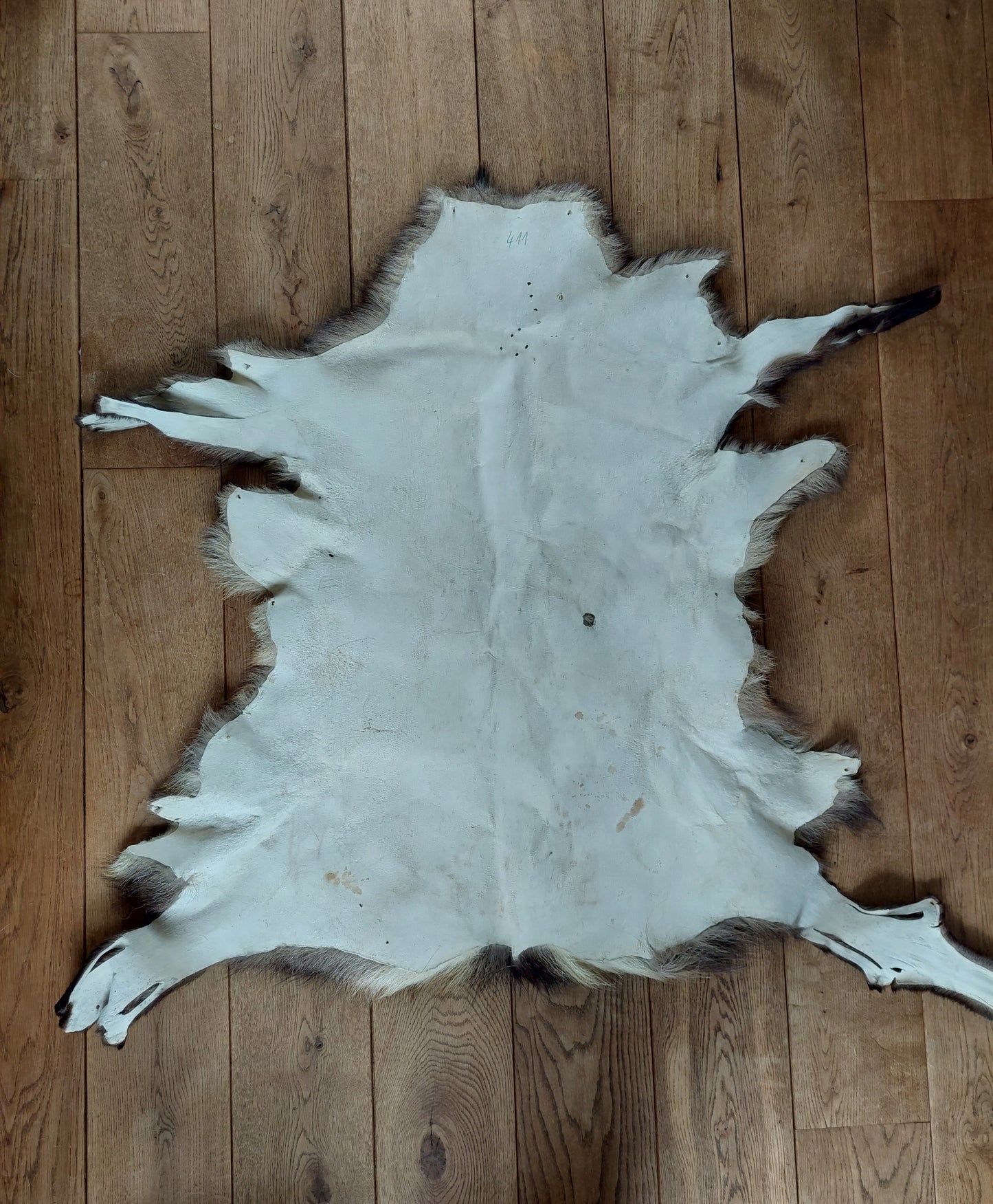 Chamois hide