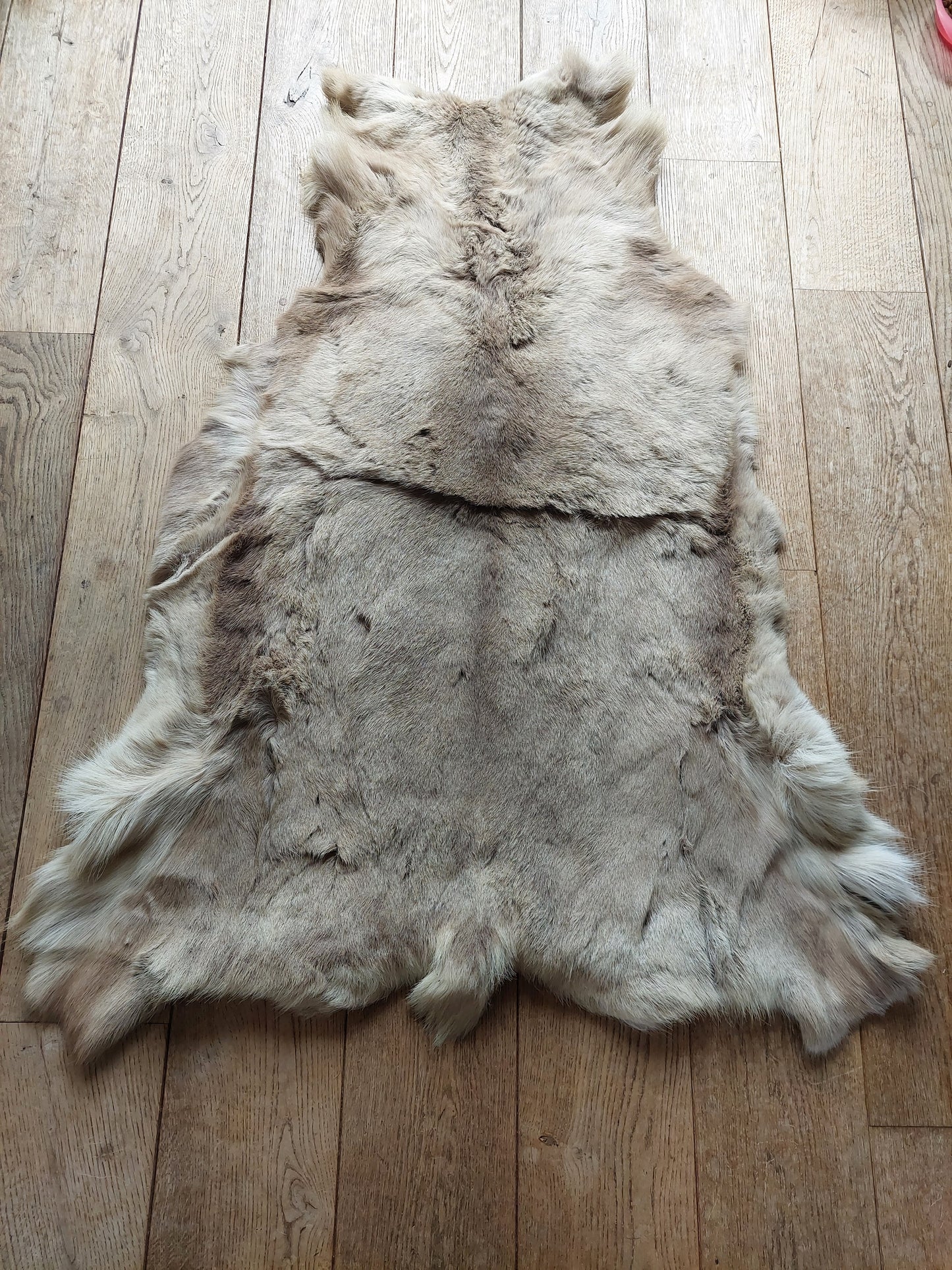 Reindeer hide #2