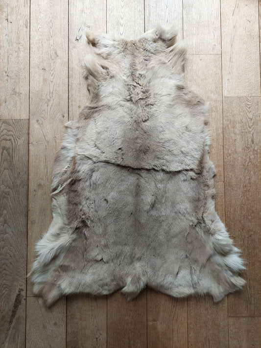 Reindeer hide #2