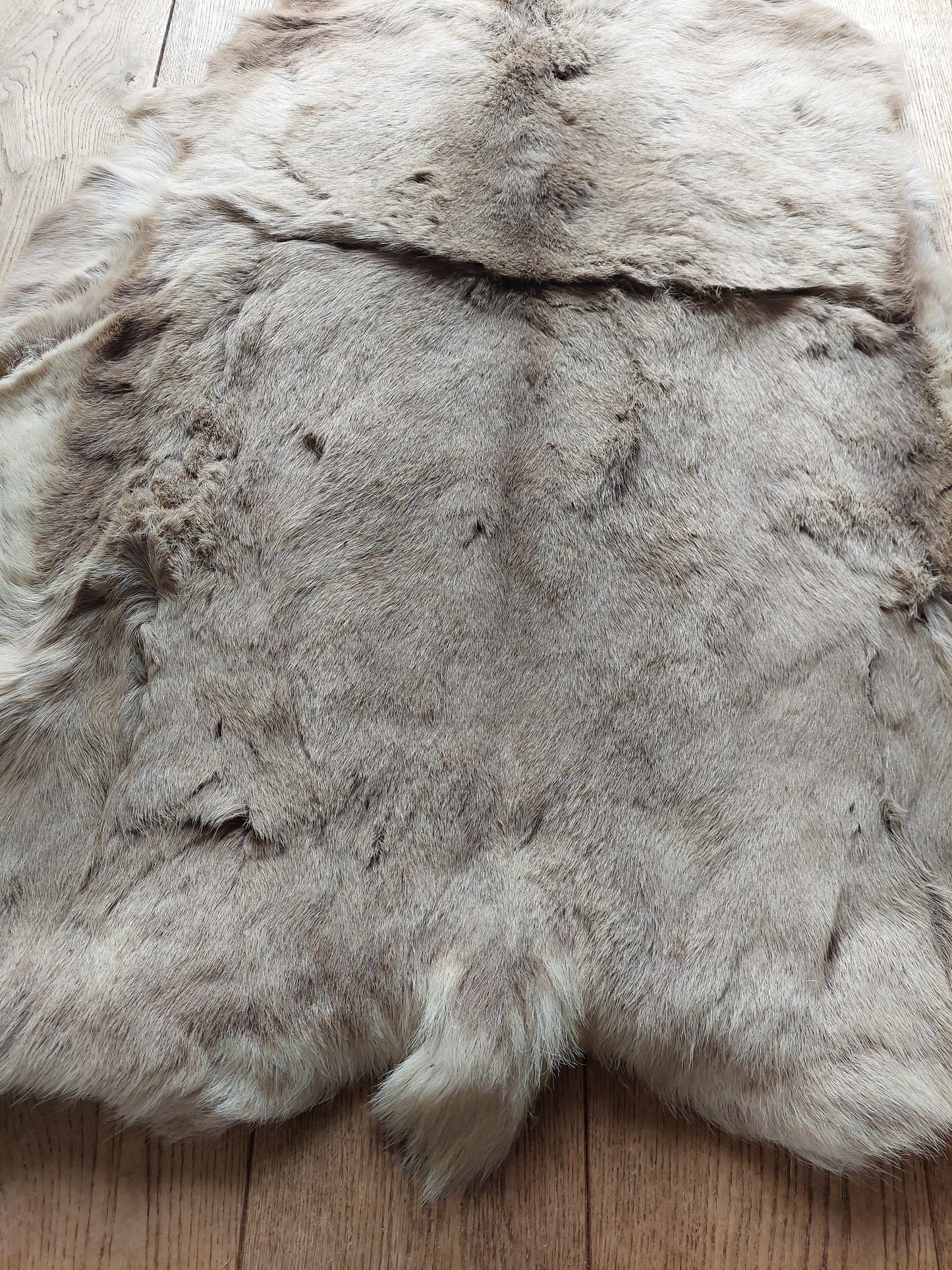 Reindeer hide #2