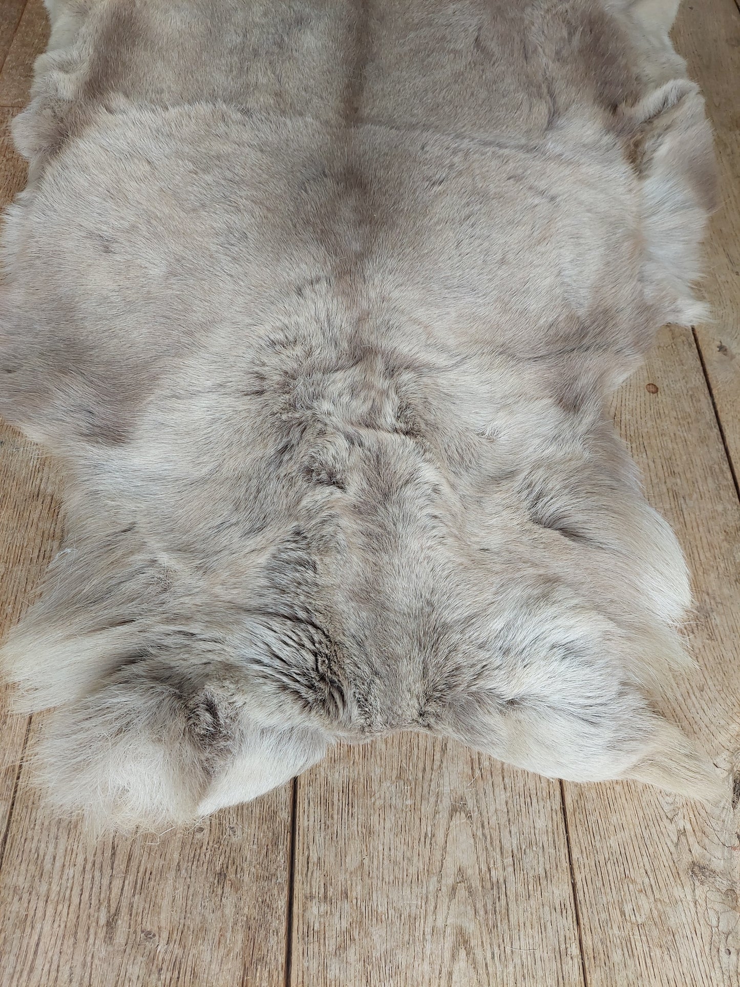 Reindeer hide #2
