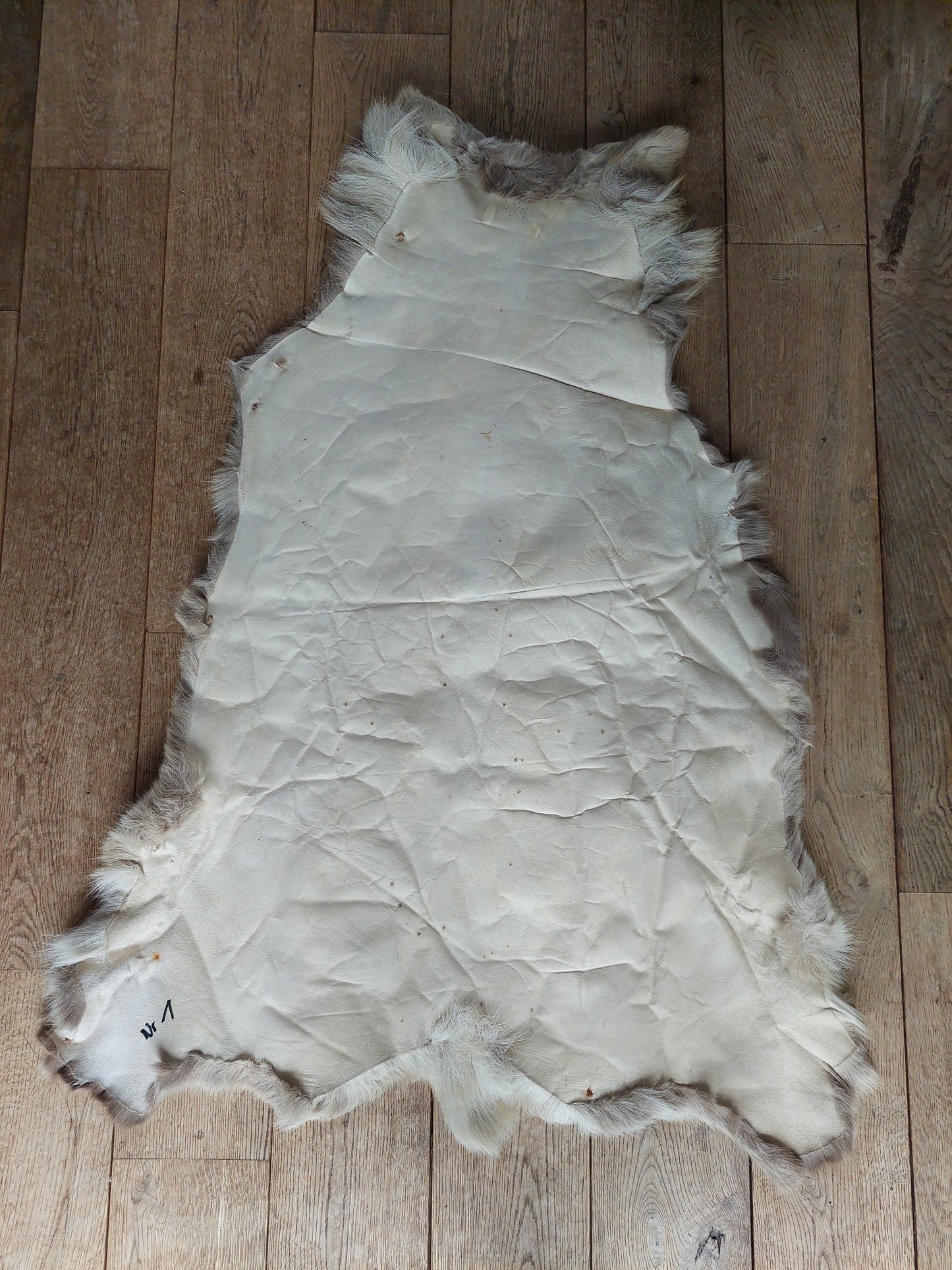 Reindeer hide #2