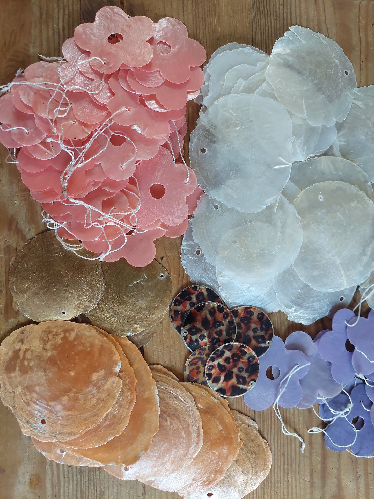 Shell slices for wind chime crafting