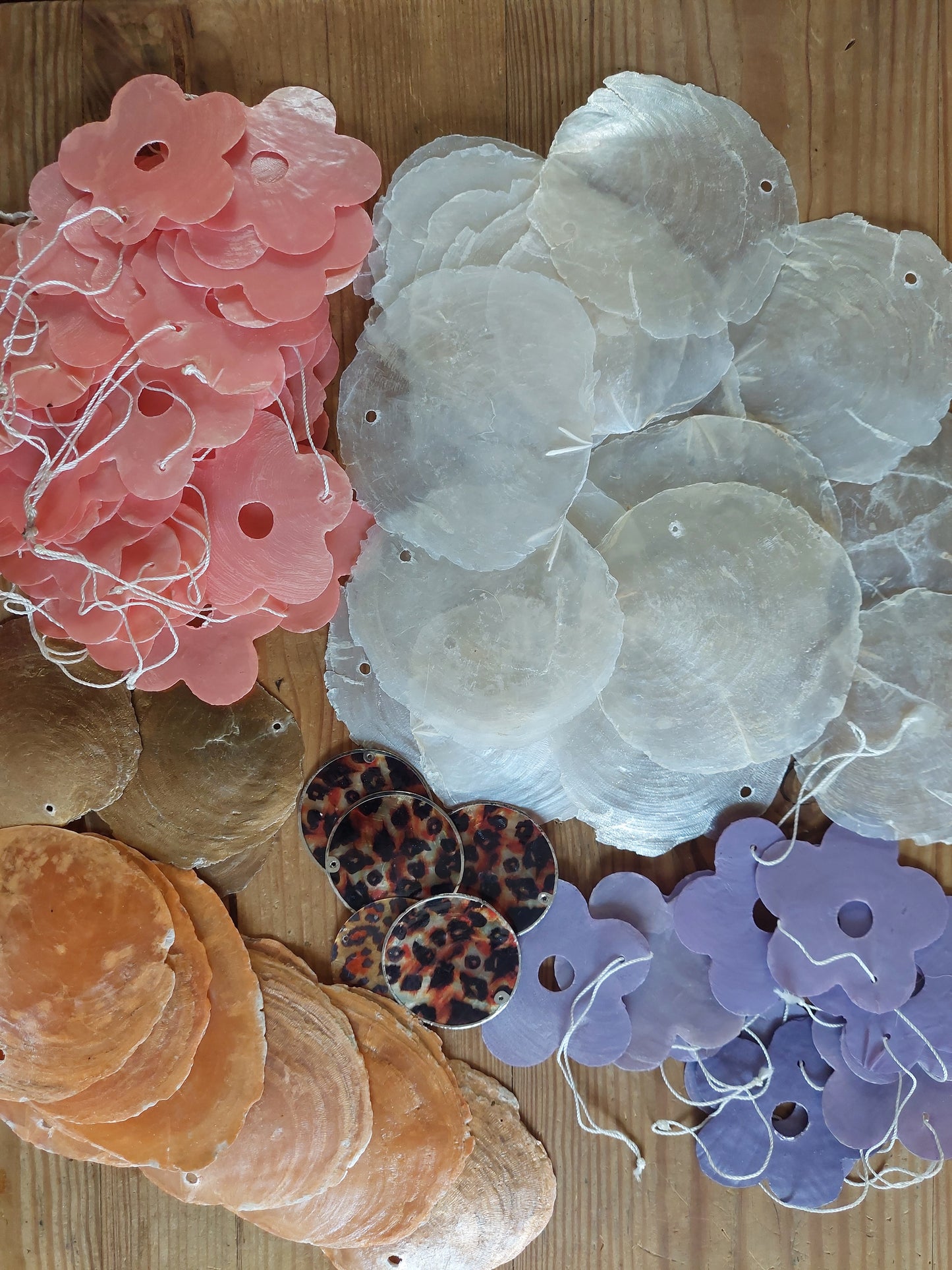 Shell slices for wind chime crafting