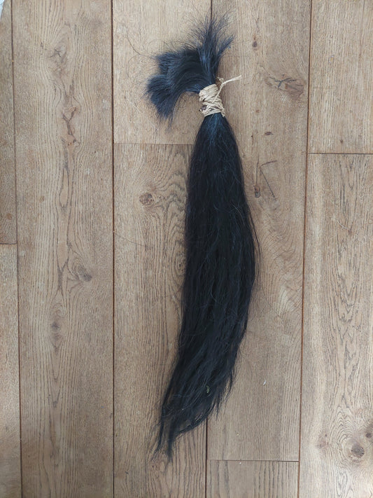 Horse tail #2