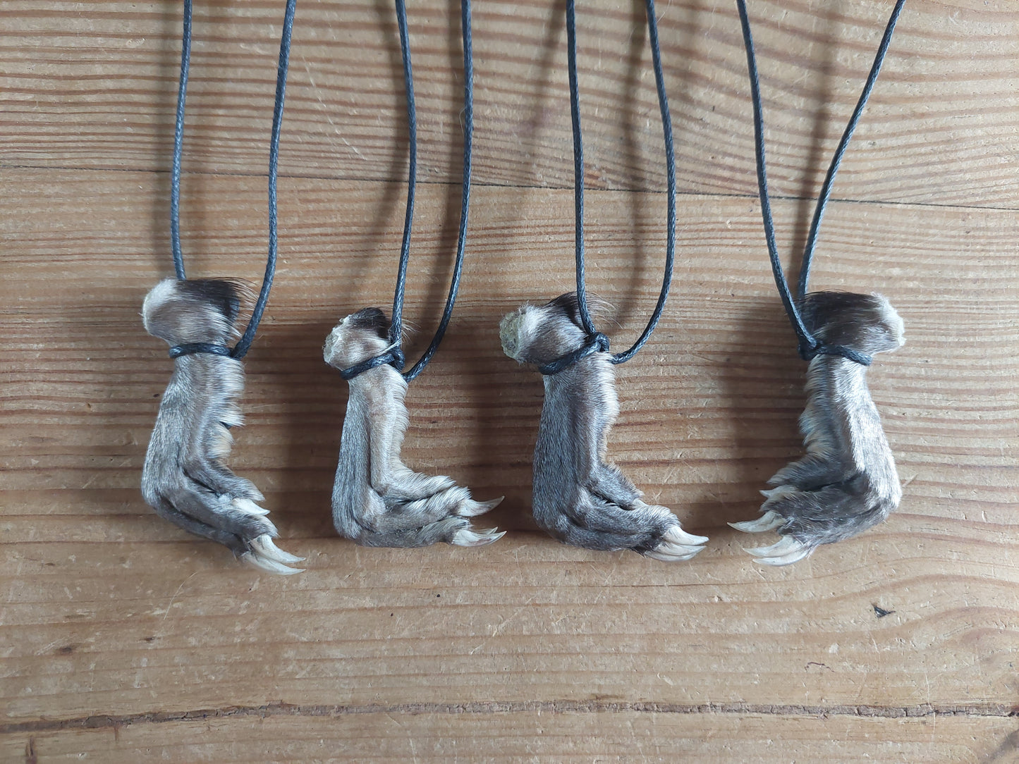 Musk rat paw necklace