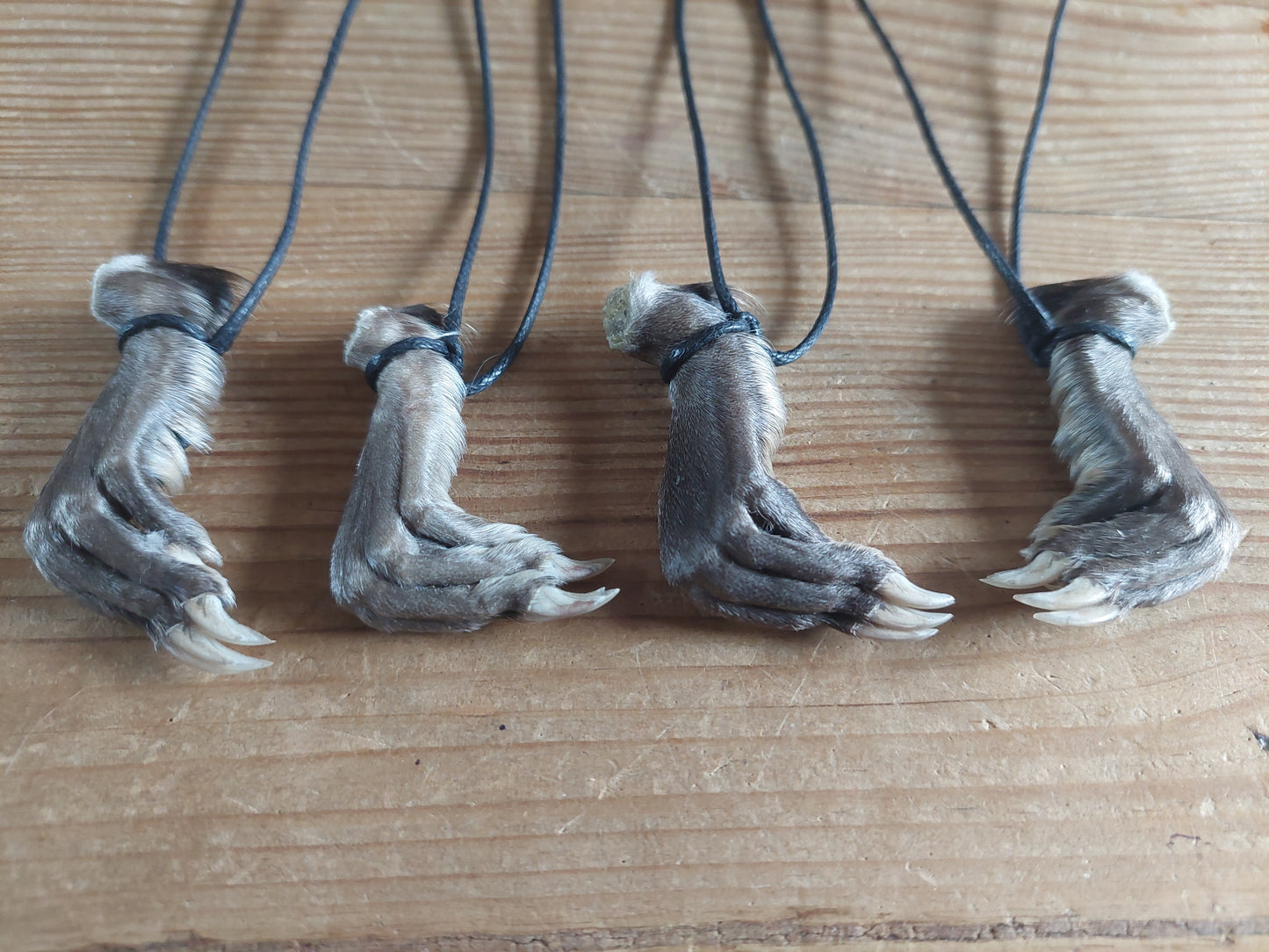 Musk rat paw necklace