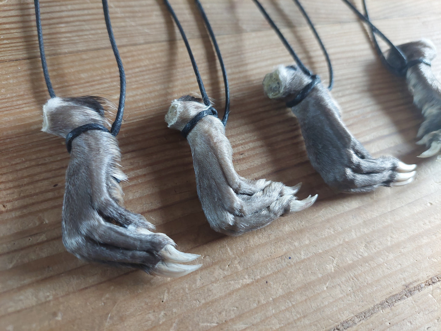 Musk rat paw necklace