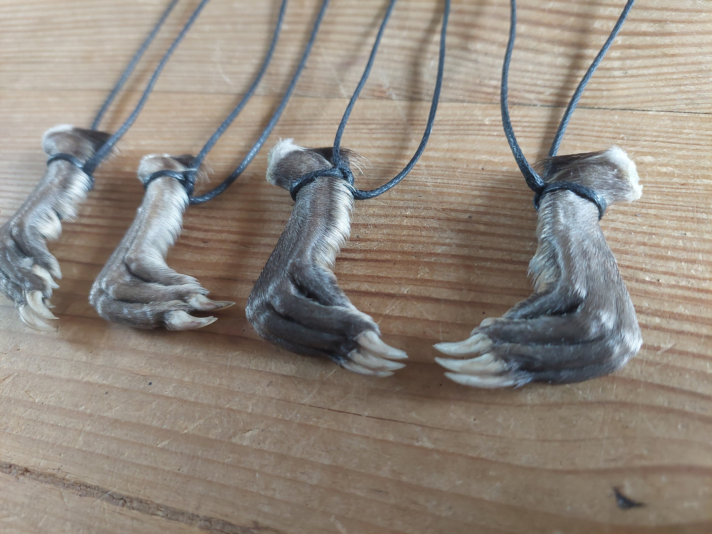 Musk rat paw necklace