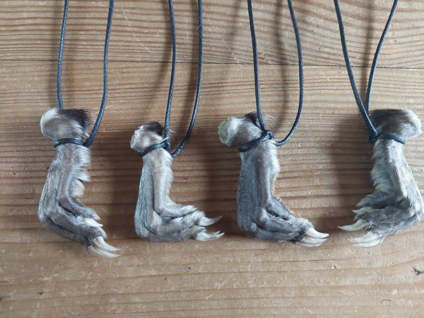 Musk rat paw necklace